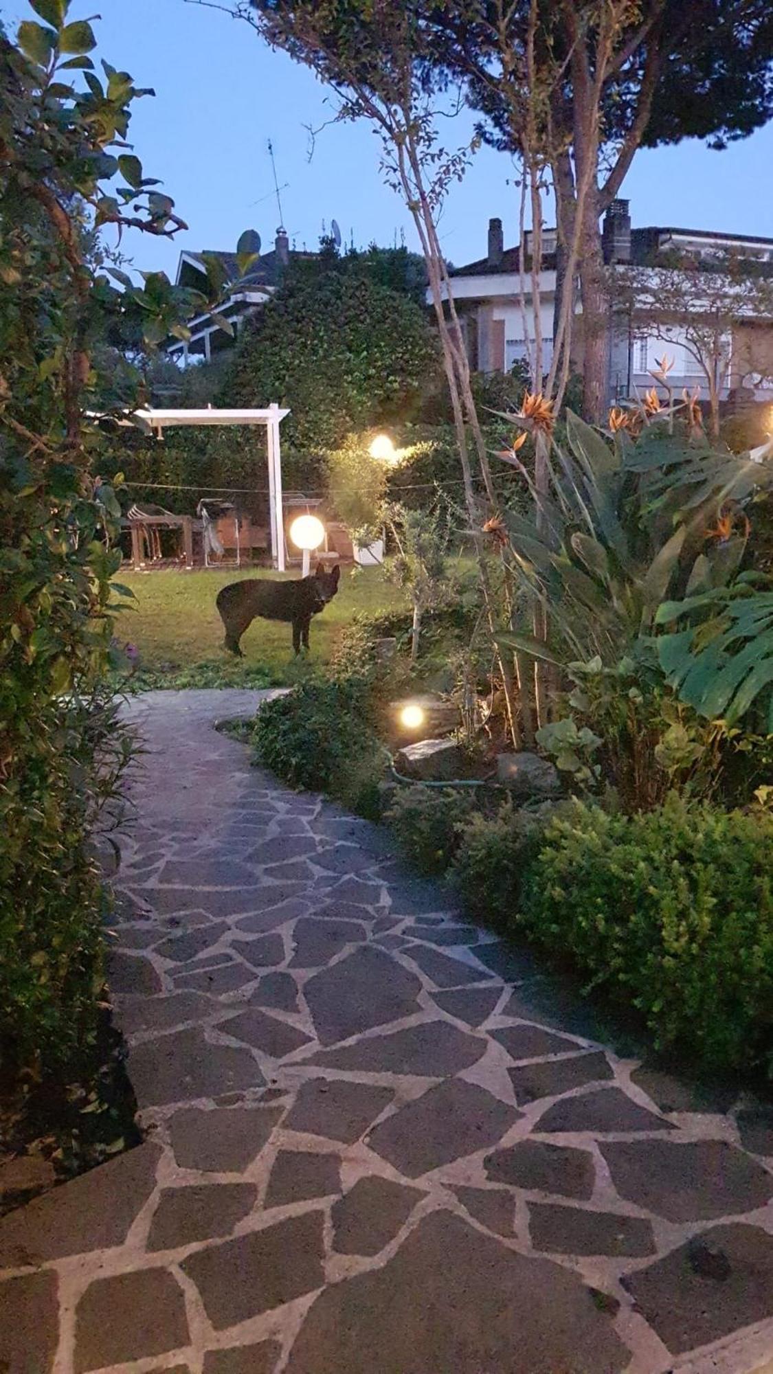 Отель Roma - Casalpalocco - Amipsia Казаль-Палокко Экстерьер фото